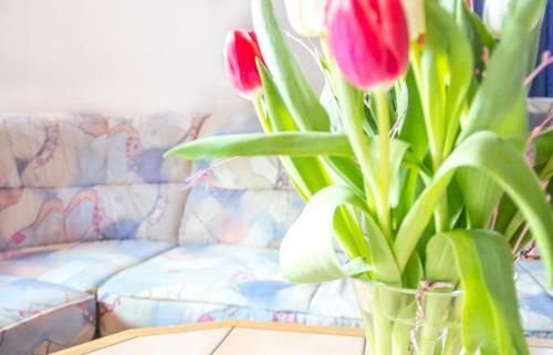 Hostal M�hlbachst�berl