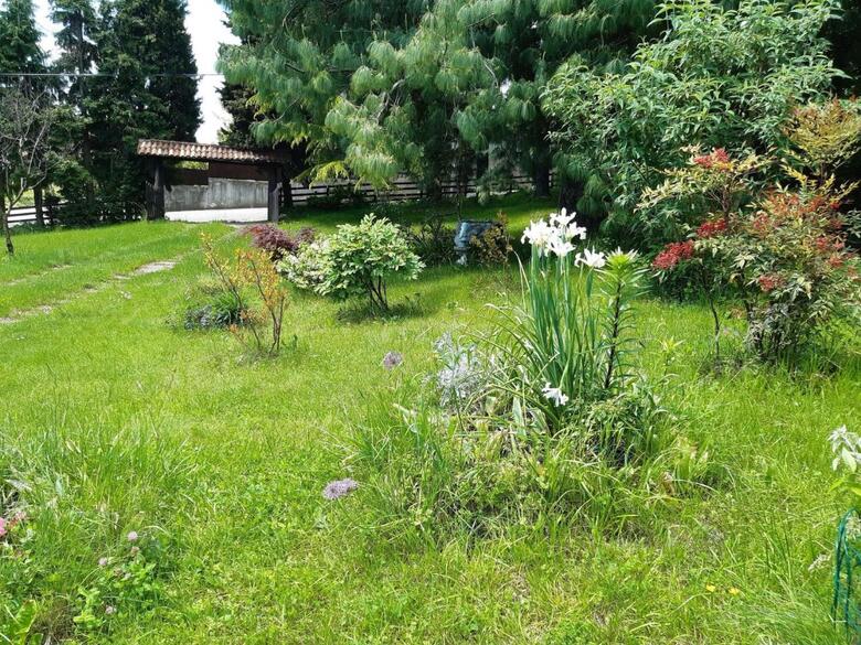 Agroturismo Holiday Home Gherla Crespano Del Grappa