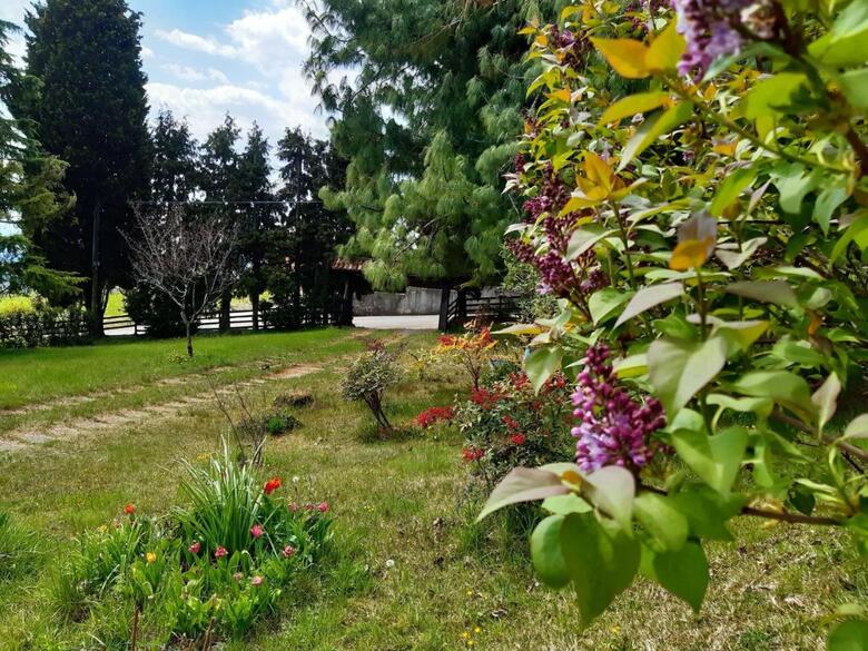 Agroturismo Holiday Home Gherla Crespano Del Grappa