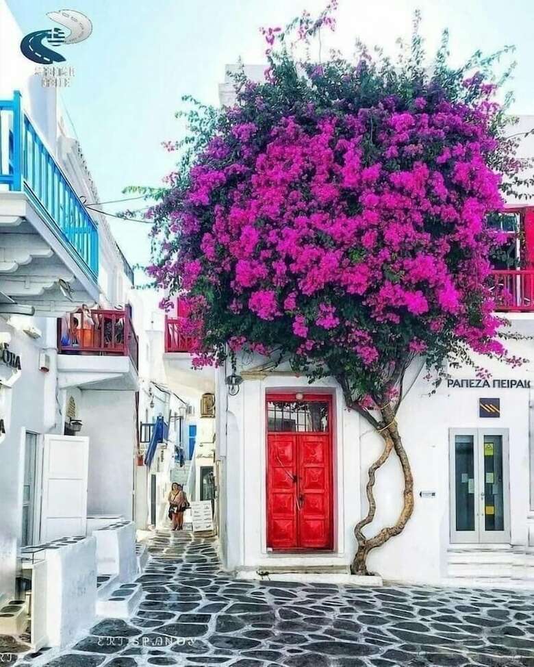 Anamnisi Mykonos