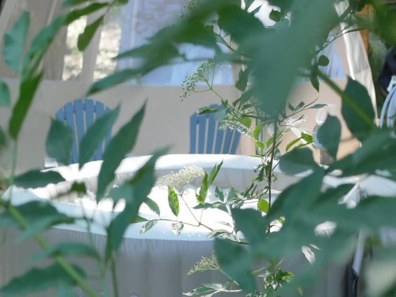 Bed & Breakfast Nuit Etoil�