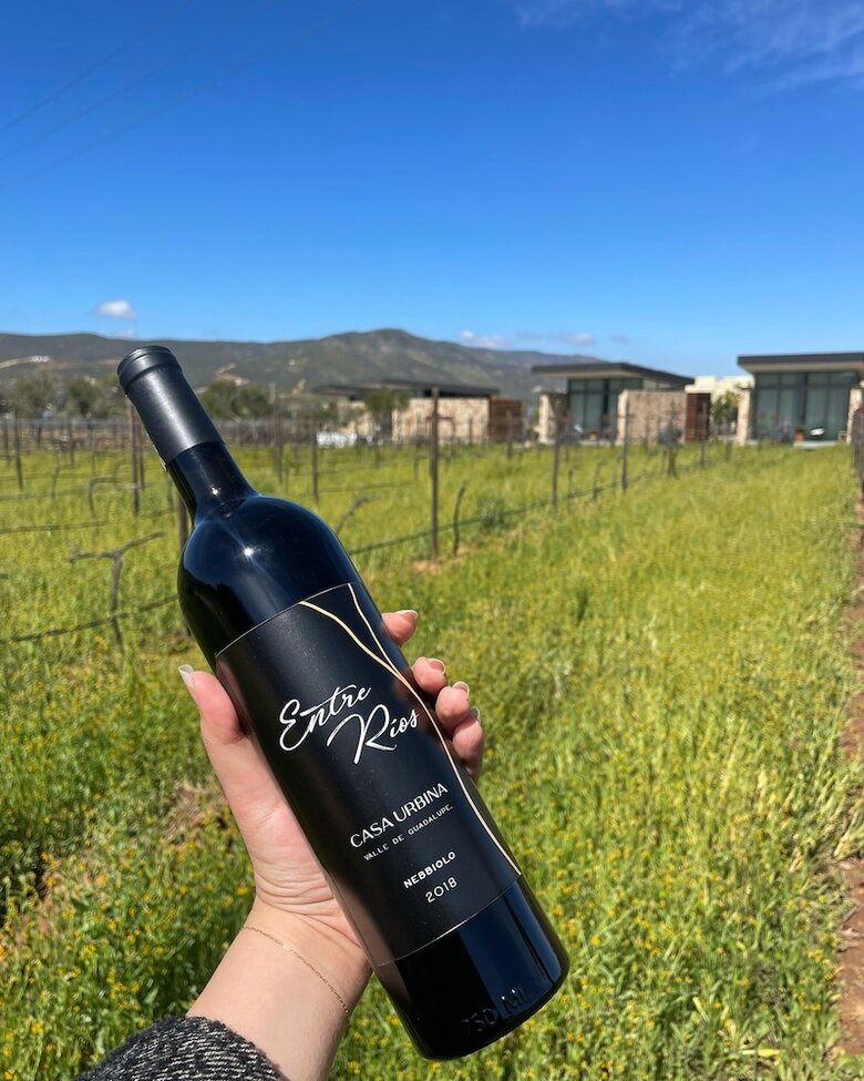 Hotel Casa Urbina Wine Resort