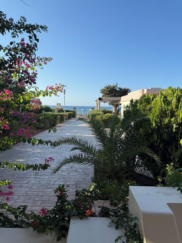 Amaryllis Front Beach Hotel