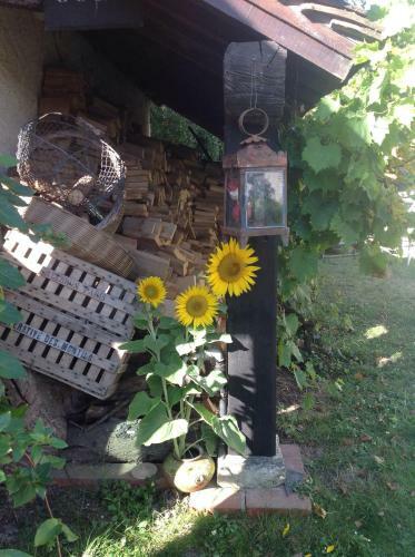 Bed & Breakfast La Closerie Du Bucher