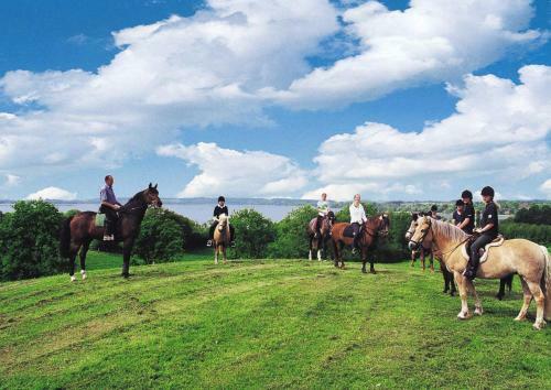 Agroturismo Ponyhof Naeve Am Wittensee