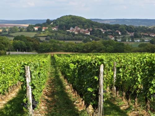 Bed & Breakfast Le Bailli De Montsaugeon
