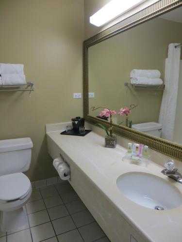 Hotel Country Inn And Suites Gurnee