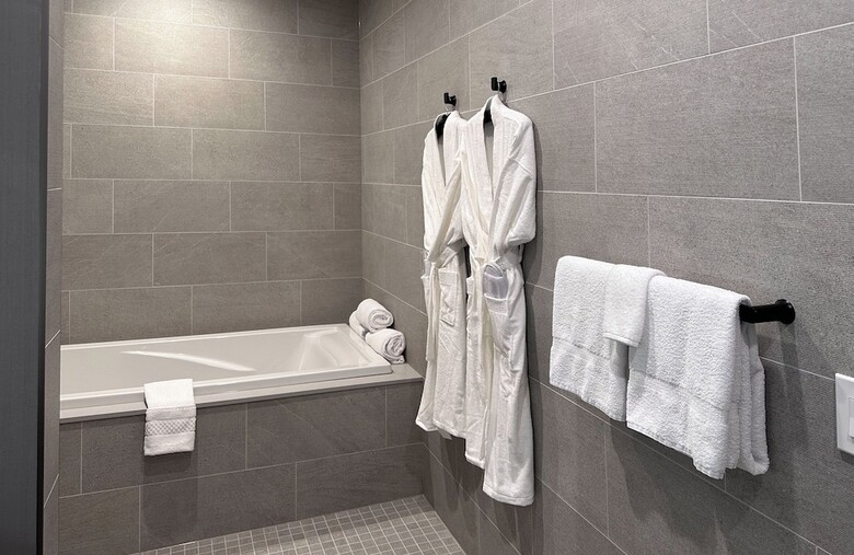 Hotel Springhill Suites By Marriott Chicago Chinatown