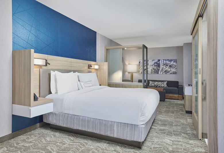 Hotel Springhill Suites By Marriott Chicago Chinatown
