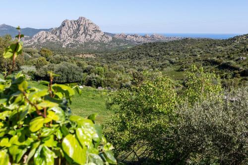Hotel Relais De Saleccia
