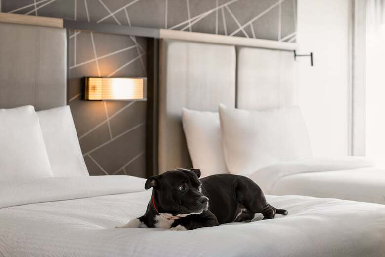 Hotel Springhill Suites By Marriott Camp Hill