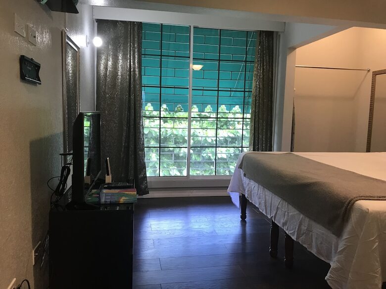 Apartamentos Abacus Jamaica The Zana Suite