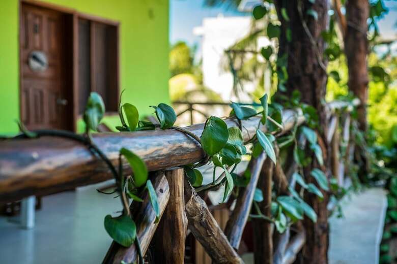 Hotel La Chaya