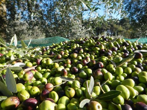 Agroturismo Tenuta La Pescaia
