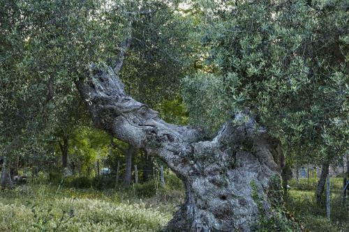 Agroturismo Tenuta La Pescaia
