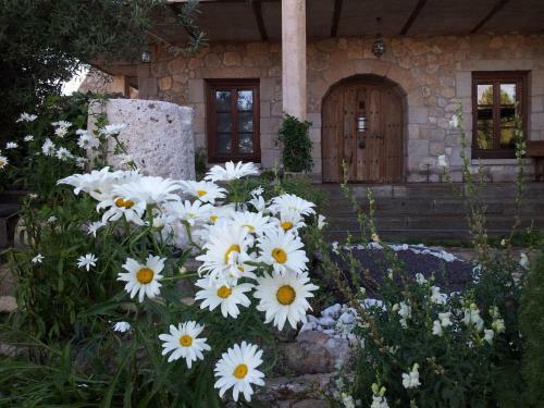 Agroturismo Centro San Pelayo