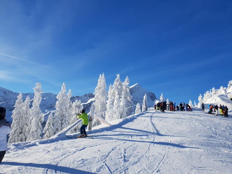 Alpennaturidyll