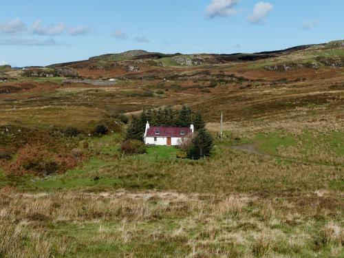 Moo Cottage