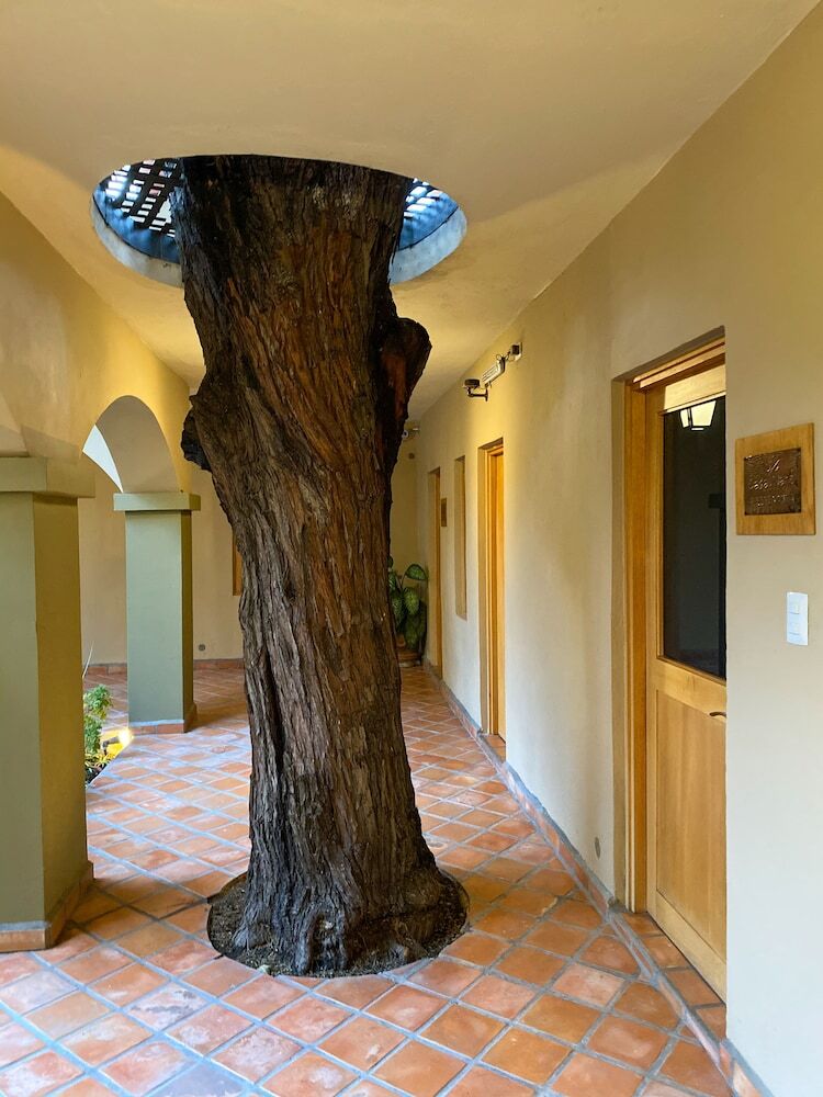 Hotel Casa Nar� - Adults Only