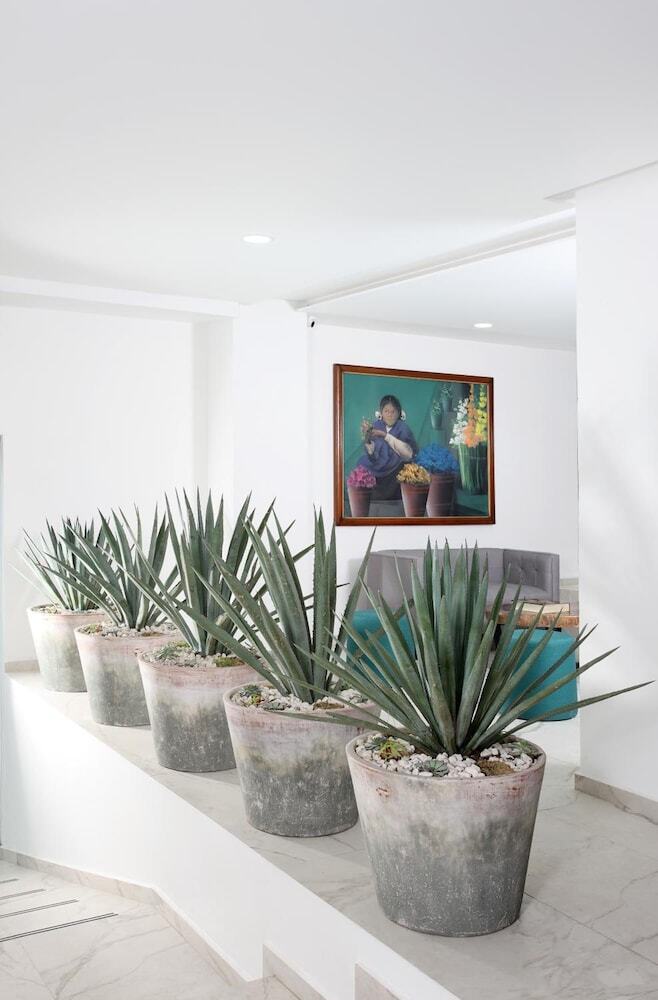 Hotel C�rculo Condesa