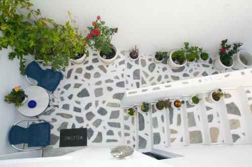 Apartamento Gorgona Studios