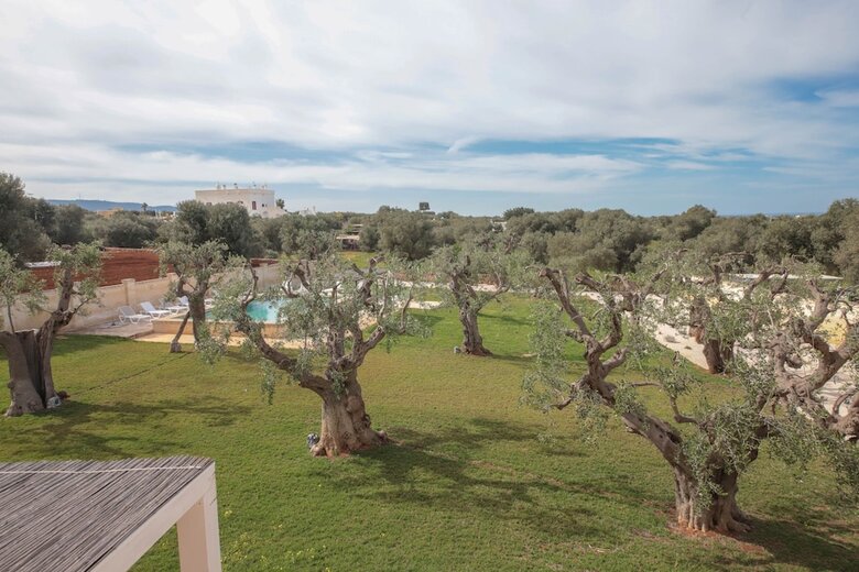 Bed & Breakfast Casale Degli Ulivi