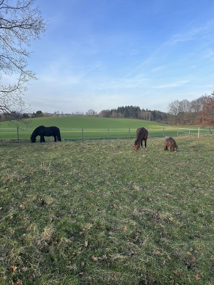 Ferien & Freizeithof Engelau