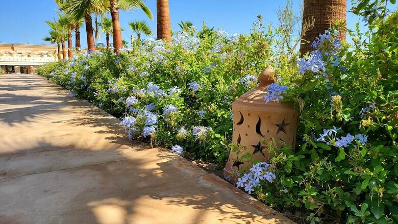 Jardins De Lina & L�a