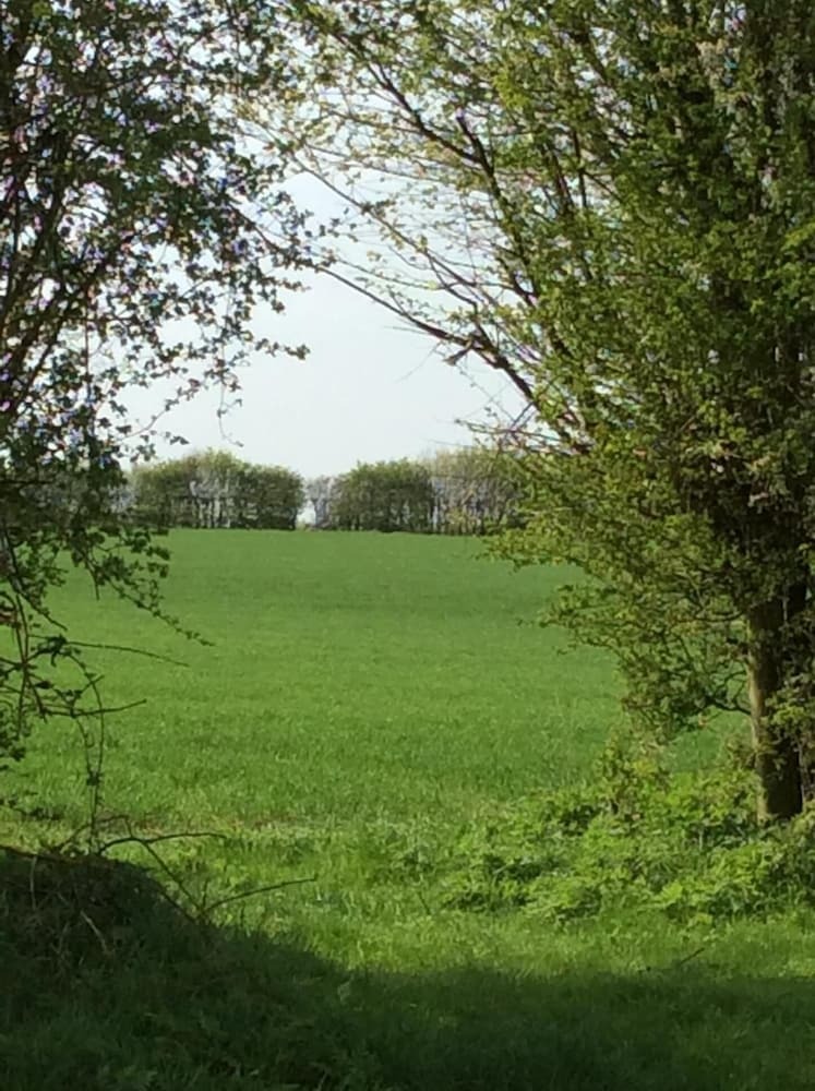 Bed & Breakfast Waldegrave Farm