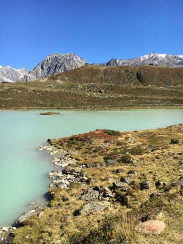 Apartamento Pension Alpin