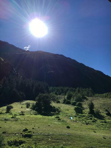 Apartamento Pension Alpin
