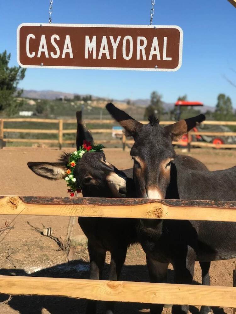 Casa Mayoral B&B Pet Friendly