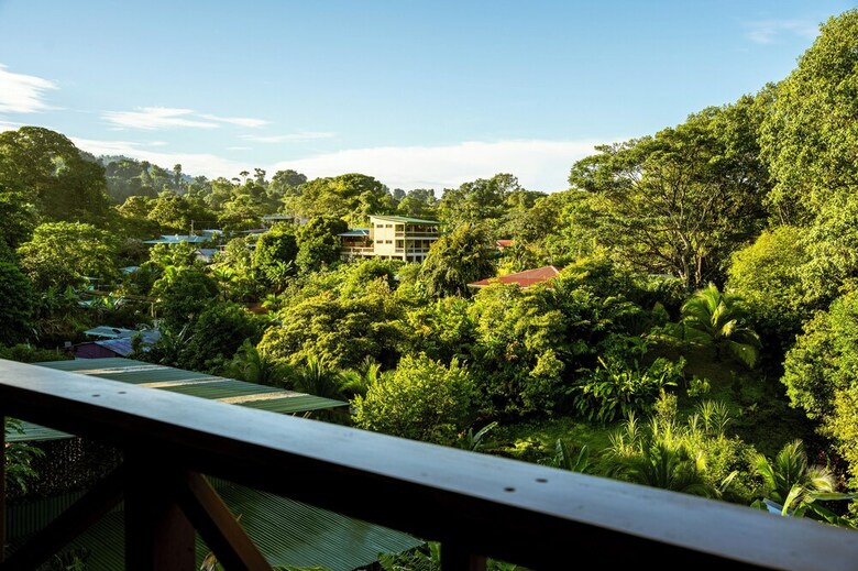 Cotingas Ocean View