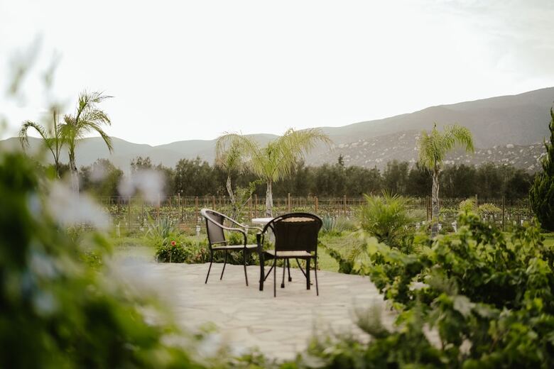 Sue�os Resort Valle De Guadalupe