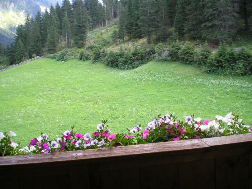 Posada Haus B�dele