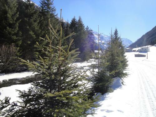 Apart Alpinea