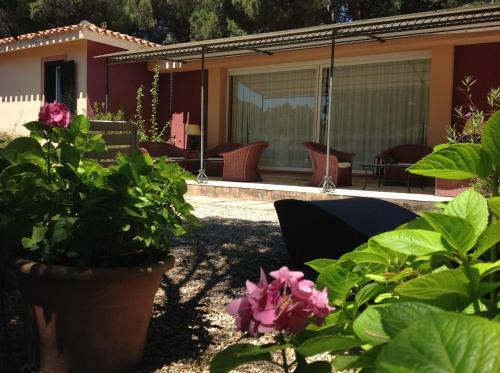 Hostal Villa Bouganvillea