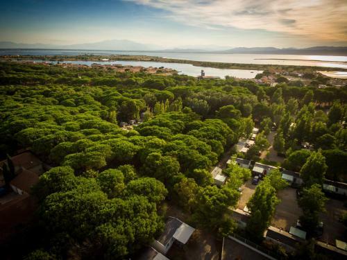 Camping Rives Des Corbi�res