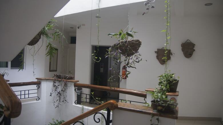 Hotel Casa Del Parque Vallarta