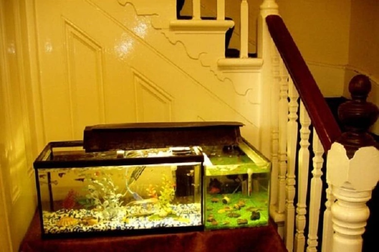 Hotel Chiswick Court