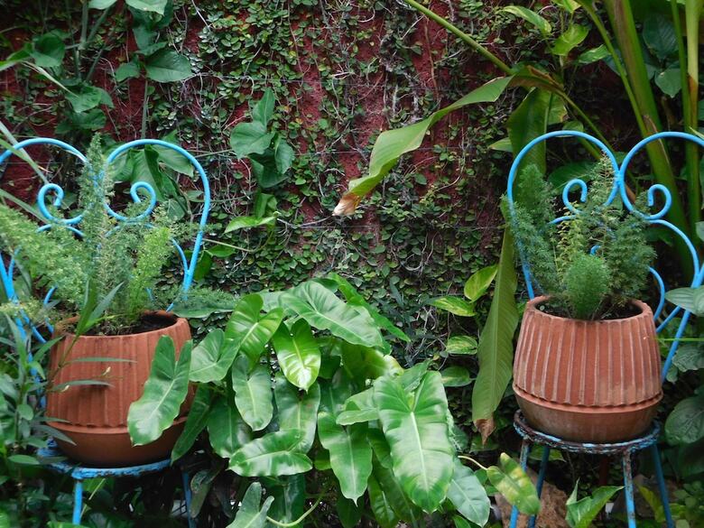 Bed & Breakfast Hotel Boutique Casa Flor De Mayo