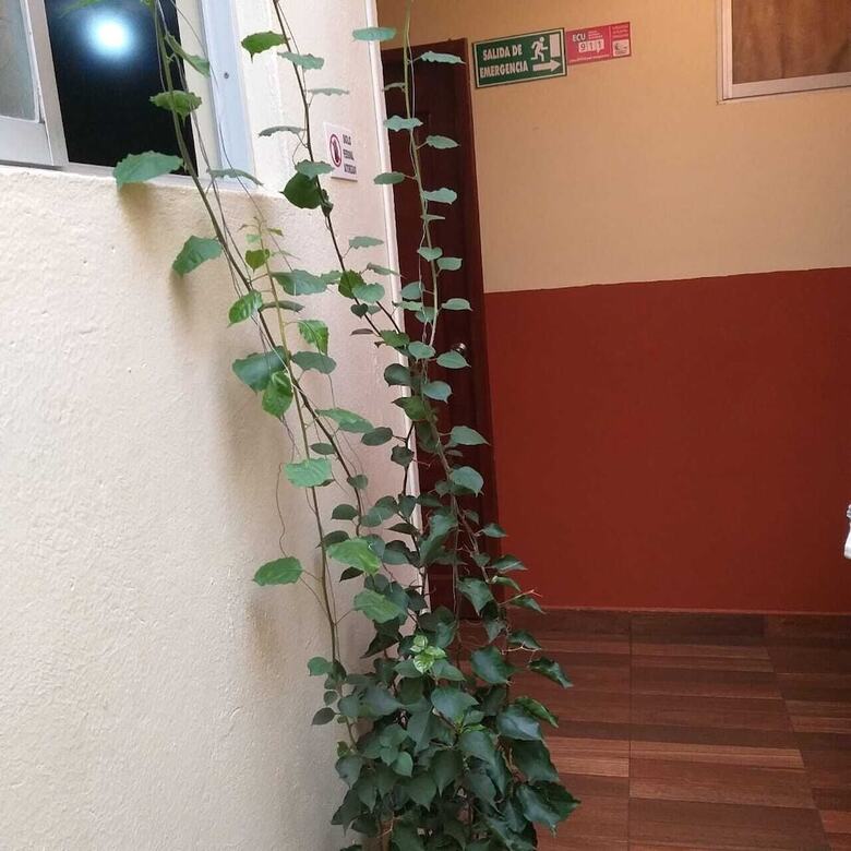Hotel Hostal Downtown Quito