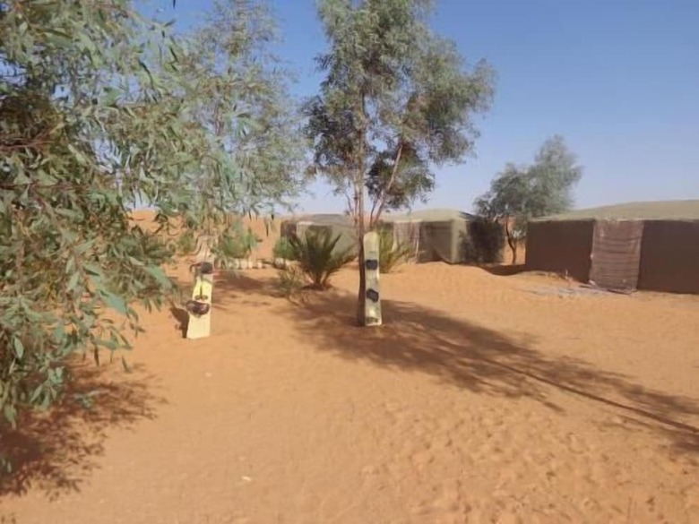 Camel Trek Bivouac In Merzouga