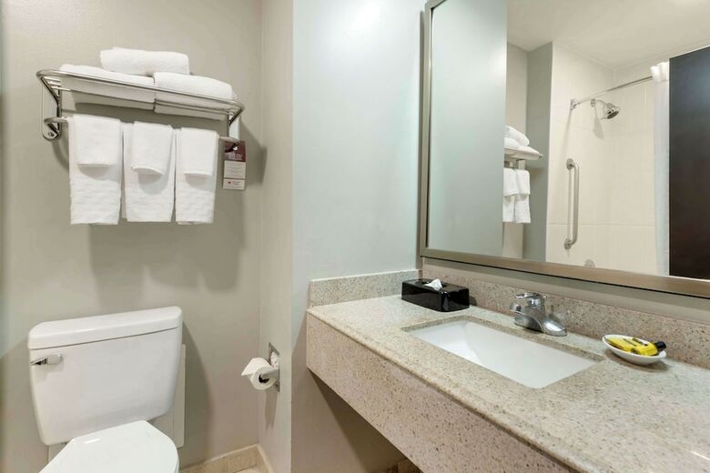 Hotel Best Western Plus Edinburg Inn & Suites