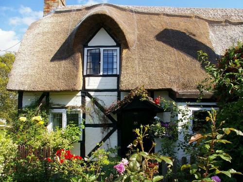Small Cottage