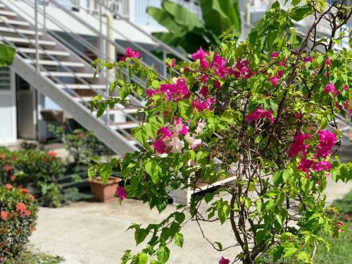 Apartamento Douce Vague