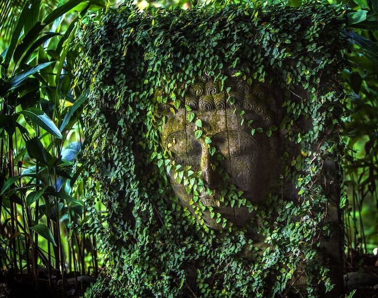 Costa Rica Yoga Spa