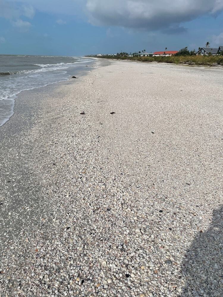 Hotel Tarpon Tale Inn