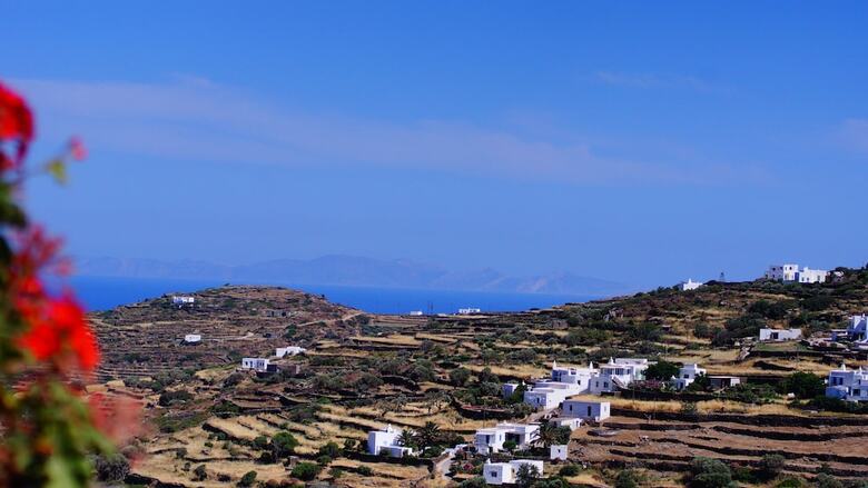 Petali Village Hotel