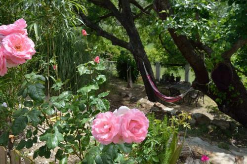 Agroturismo Casa Rural Ahora